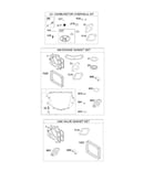 Carburetor overhaul kit/engine/valve gasket sets