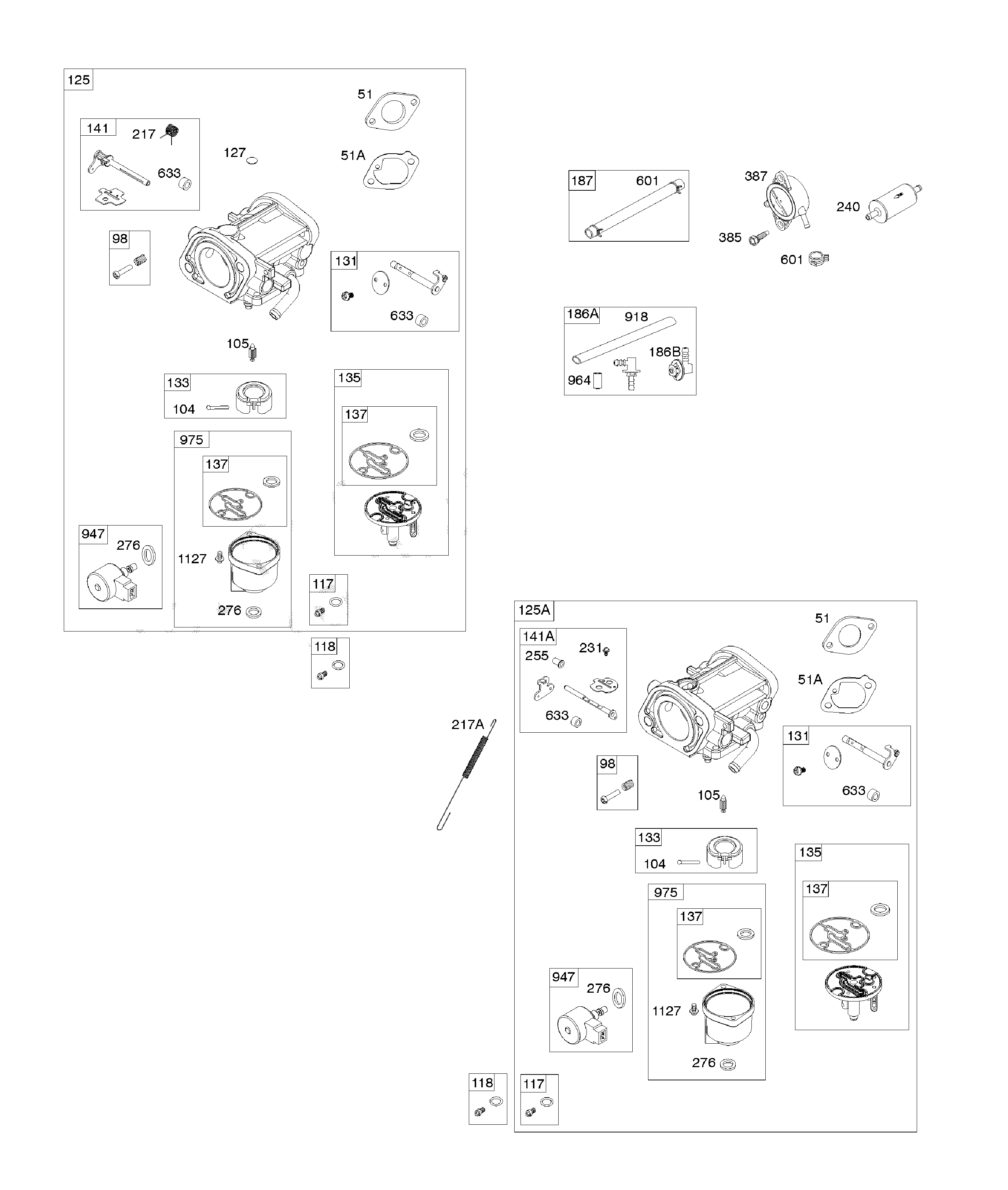 Carburetor/fuel pump/fuel hose