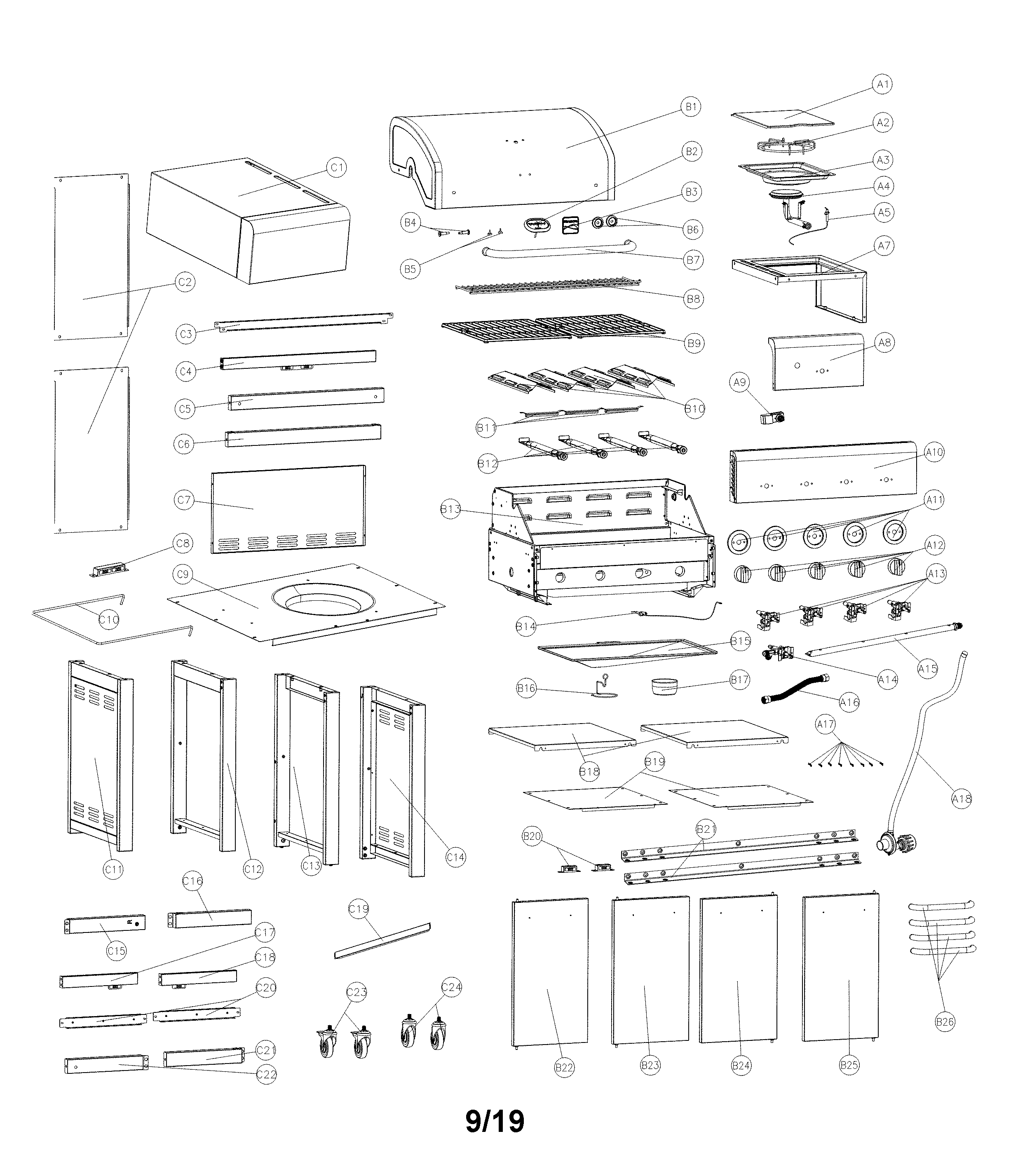Gas grill