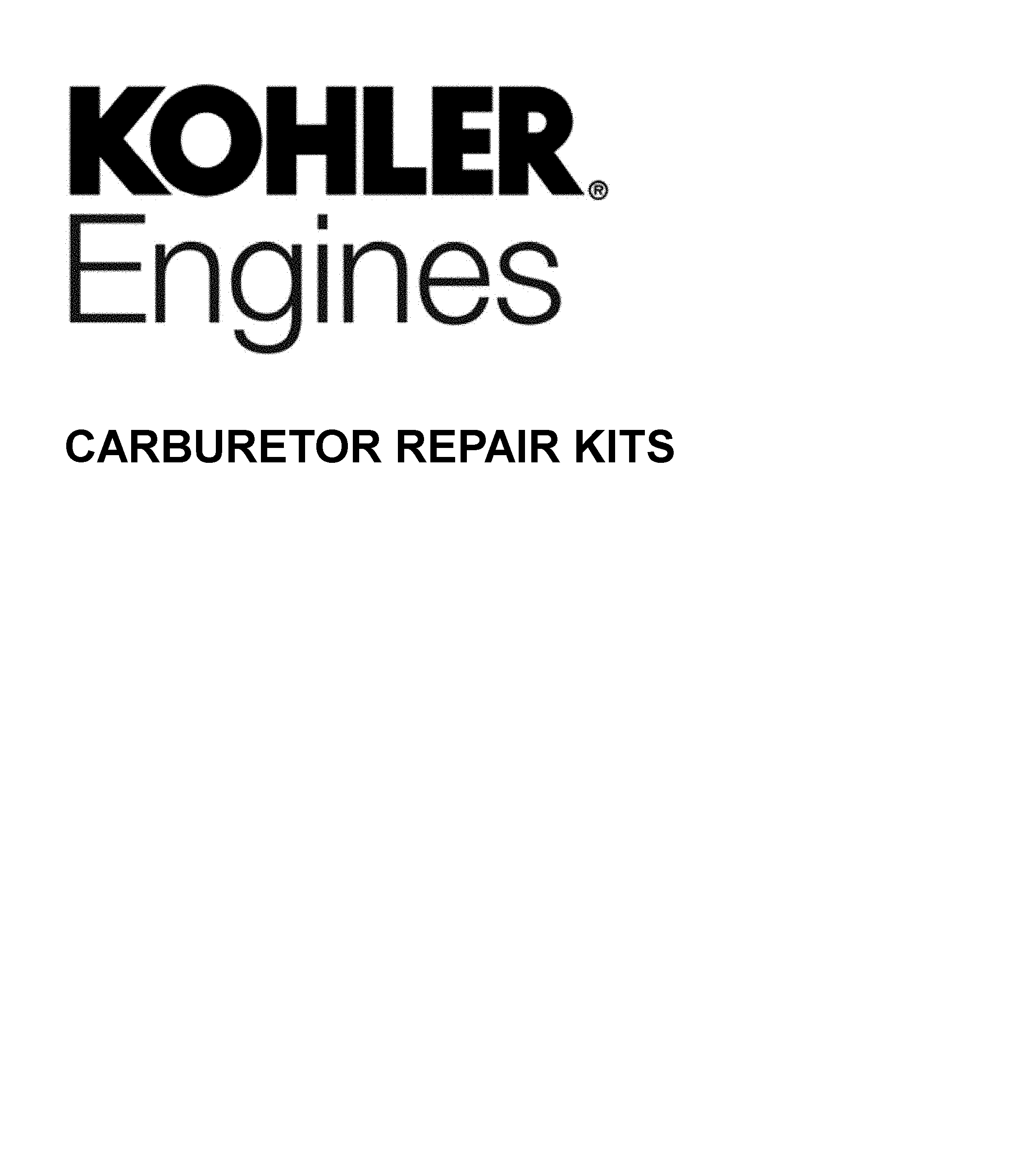 CARBURETOR REPAIR KITS