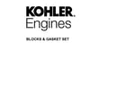 Kohler KT725-3078 blocks & gasket set diagram