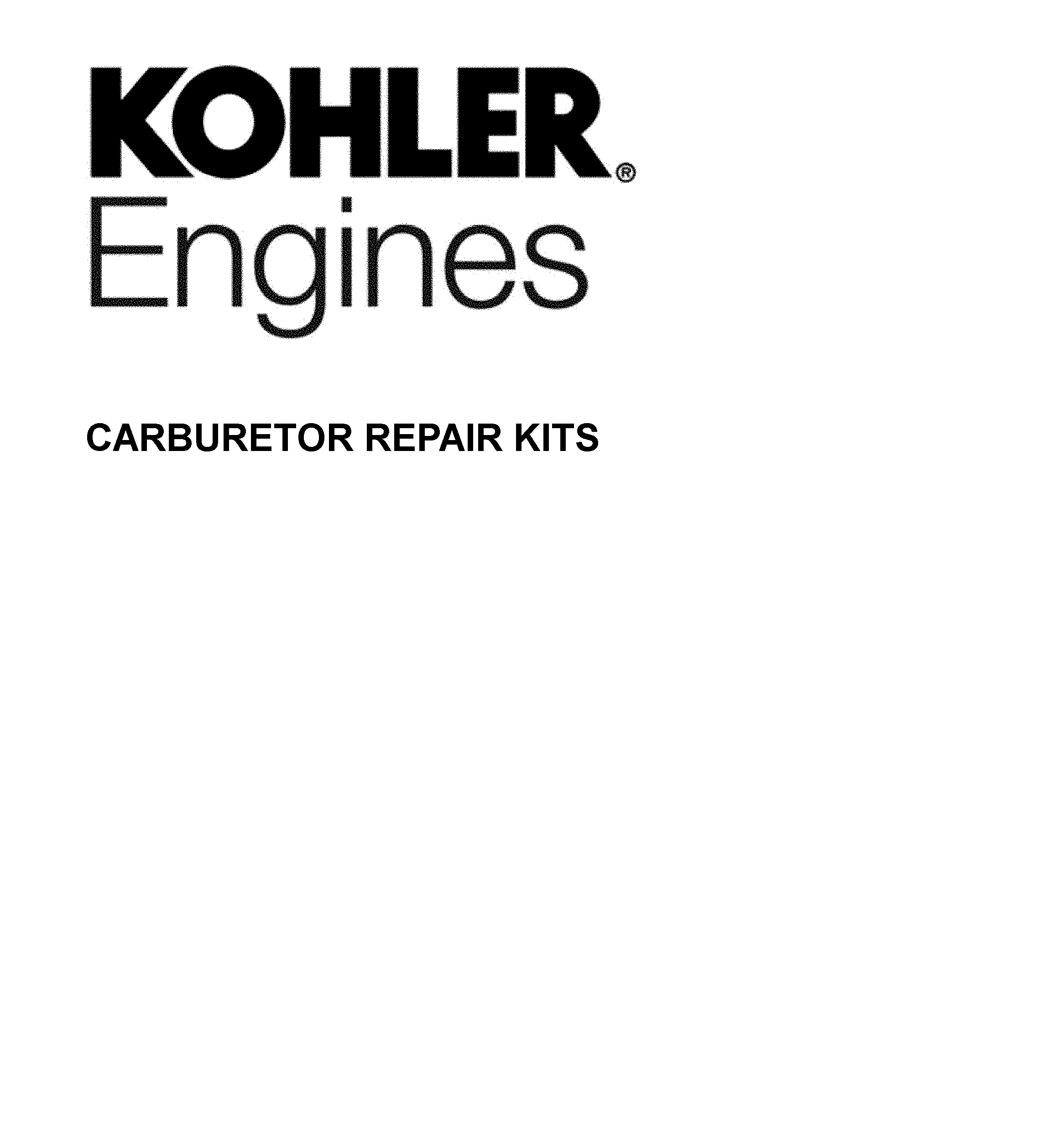 CARBURETOR REPAIR KITS