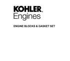 Kohler KT730-3046 engine blocks & gasket set diagram