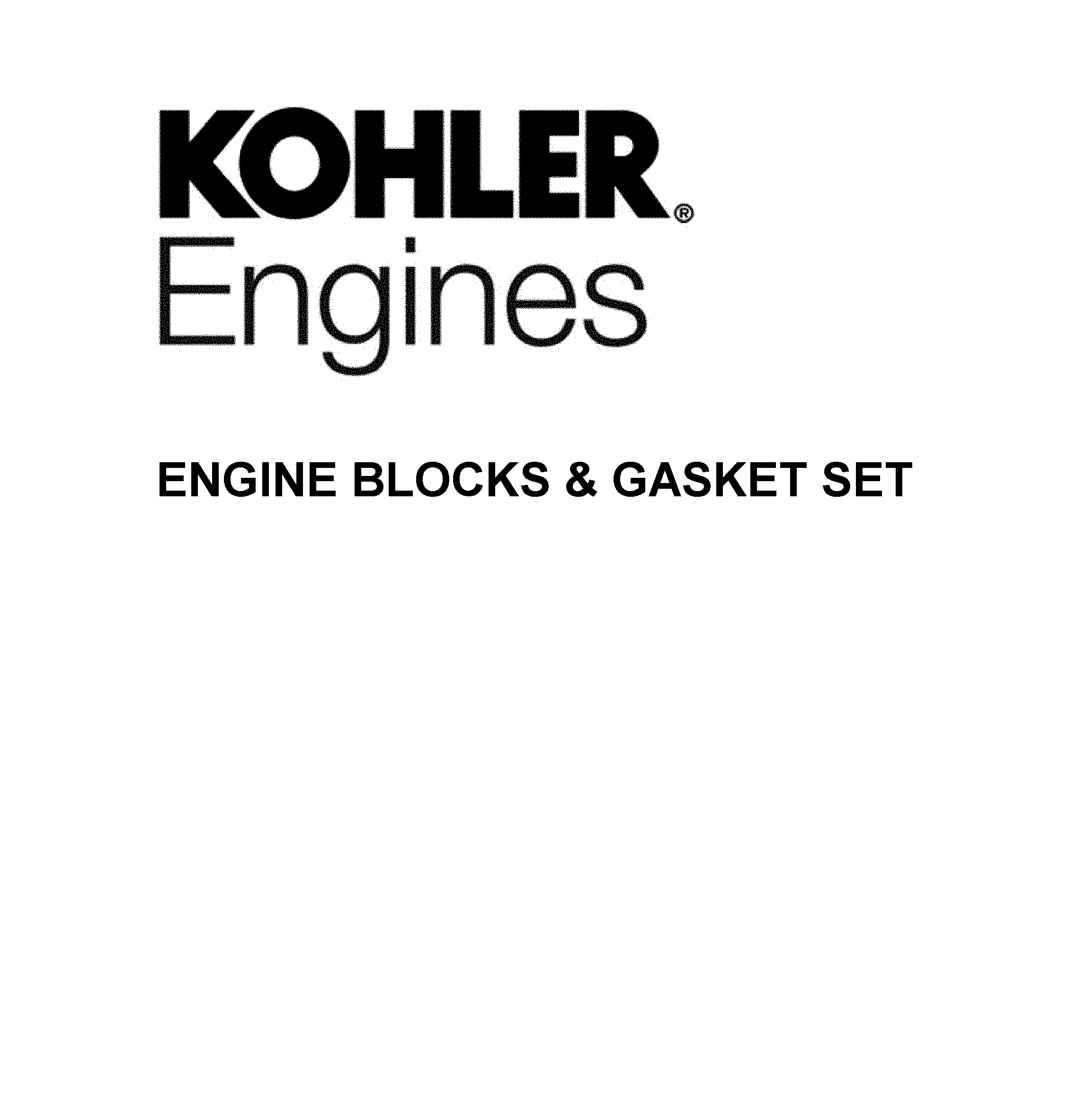ENGINE BLOCKS & GASKET SET