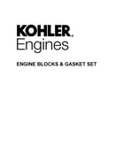 Engine blocks & gasket set