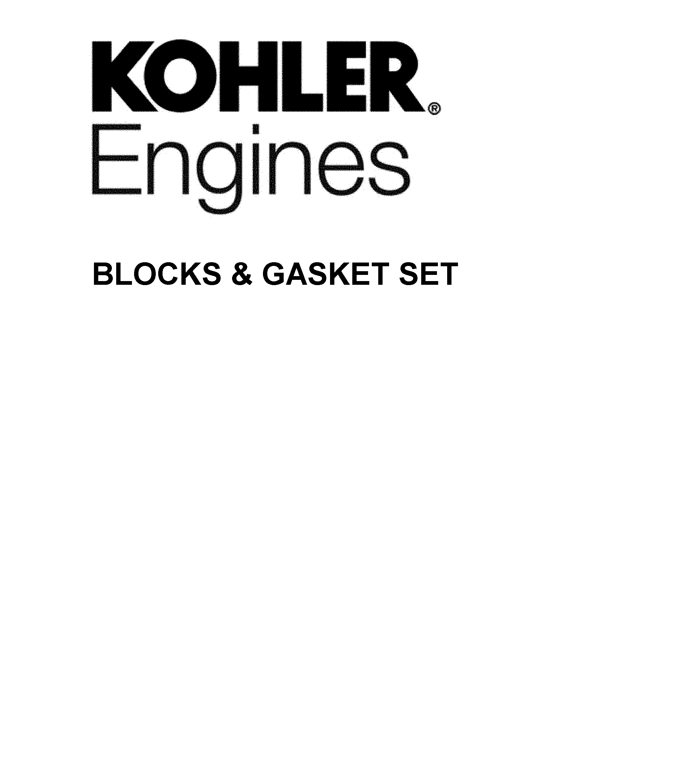 BLOCKS & GASKET SET