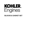 Blocks & gasket set