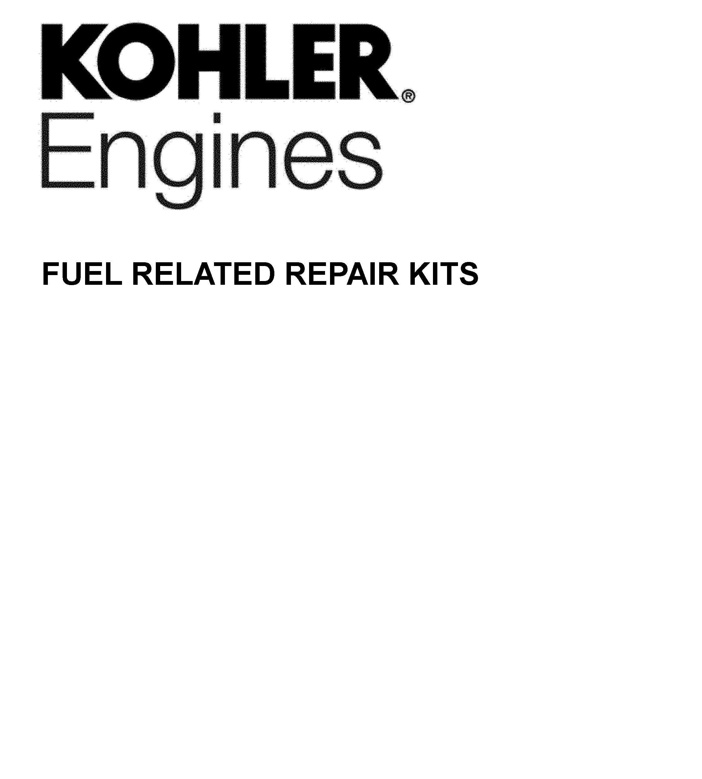 CARBURETOR REPAIR KITS