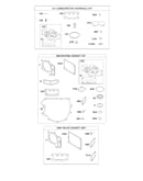 Engine/valve gasket set/carburetor overhaul kit
