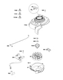 Flywheel/ignition/starter