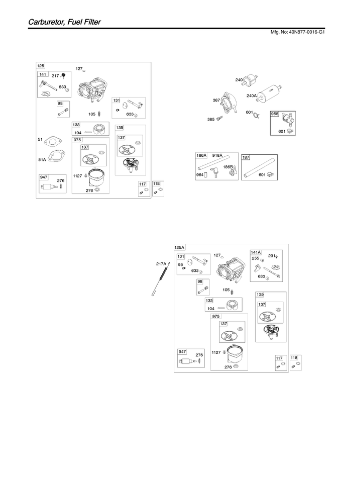 CARBURETOR/FUEL FILTER