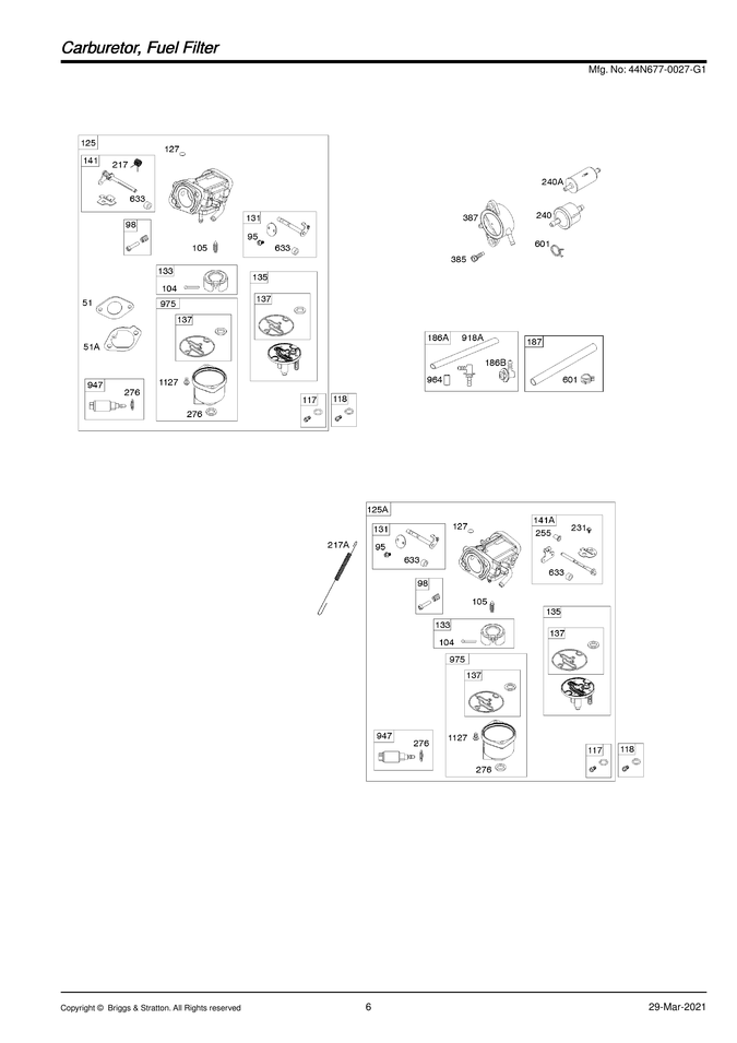 CABRURETOR/FUEL FILTER