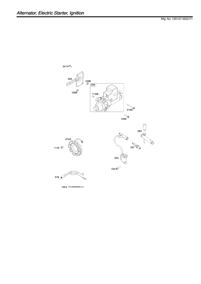 Alternator/electric starter/ignition