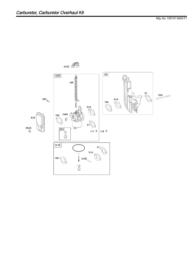 Carburetor/carburetor overhaul kit