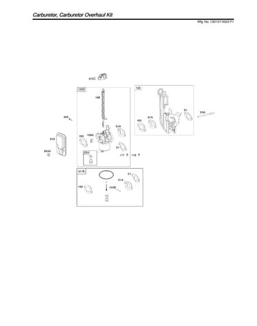 Carburetor/carburetor overhaul kit