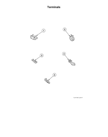 Terminals