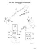 Gas valve/igniter/gas conversion kits