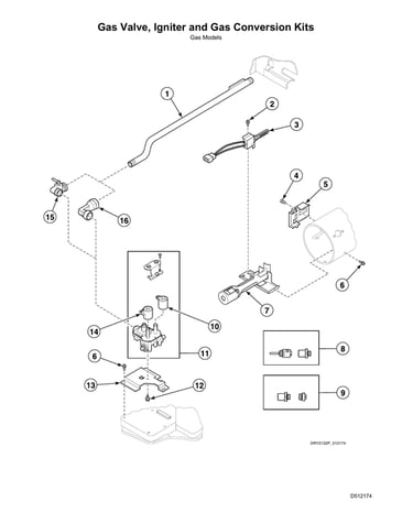 Gas valve/igniter/gas conversion kits