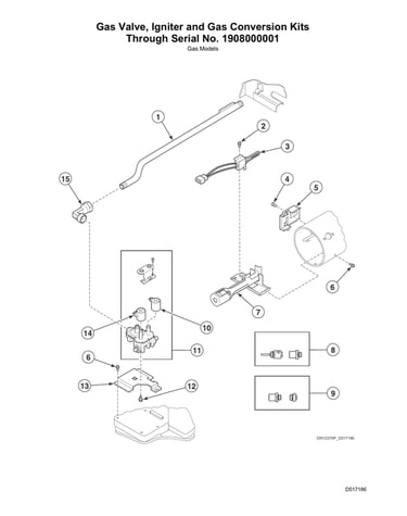 Gas valve/igniter & gas conversion kits thru s#1908000001