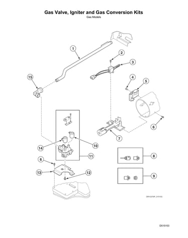 Gas valve/igniter/gas conversion kits
