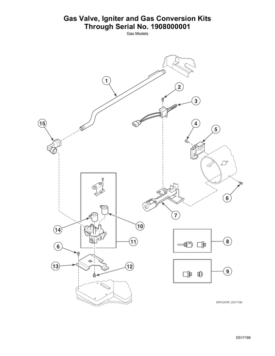 Gas valve/igniter/gas conversion kits thru s#1908000001