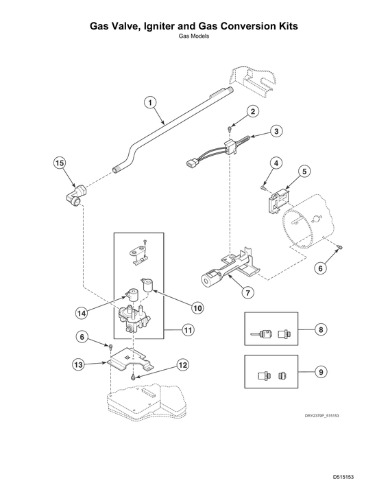 Gas valve/igniter/gas conversion kits