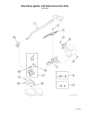 Gas valve/igniter/gas conversion kits
