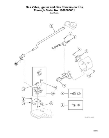 Gas valve/igniter/gas conversion kits thru serial #1908000001