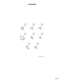 Terminals