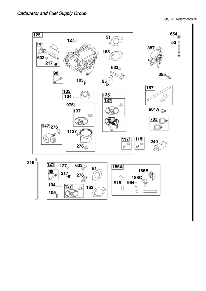 Carburetor/fuel supply