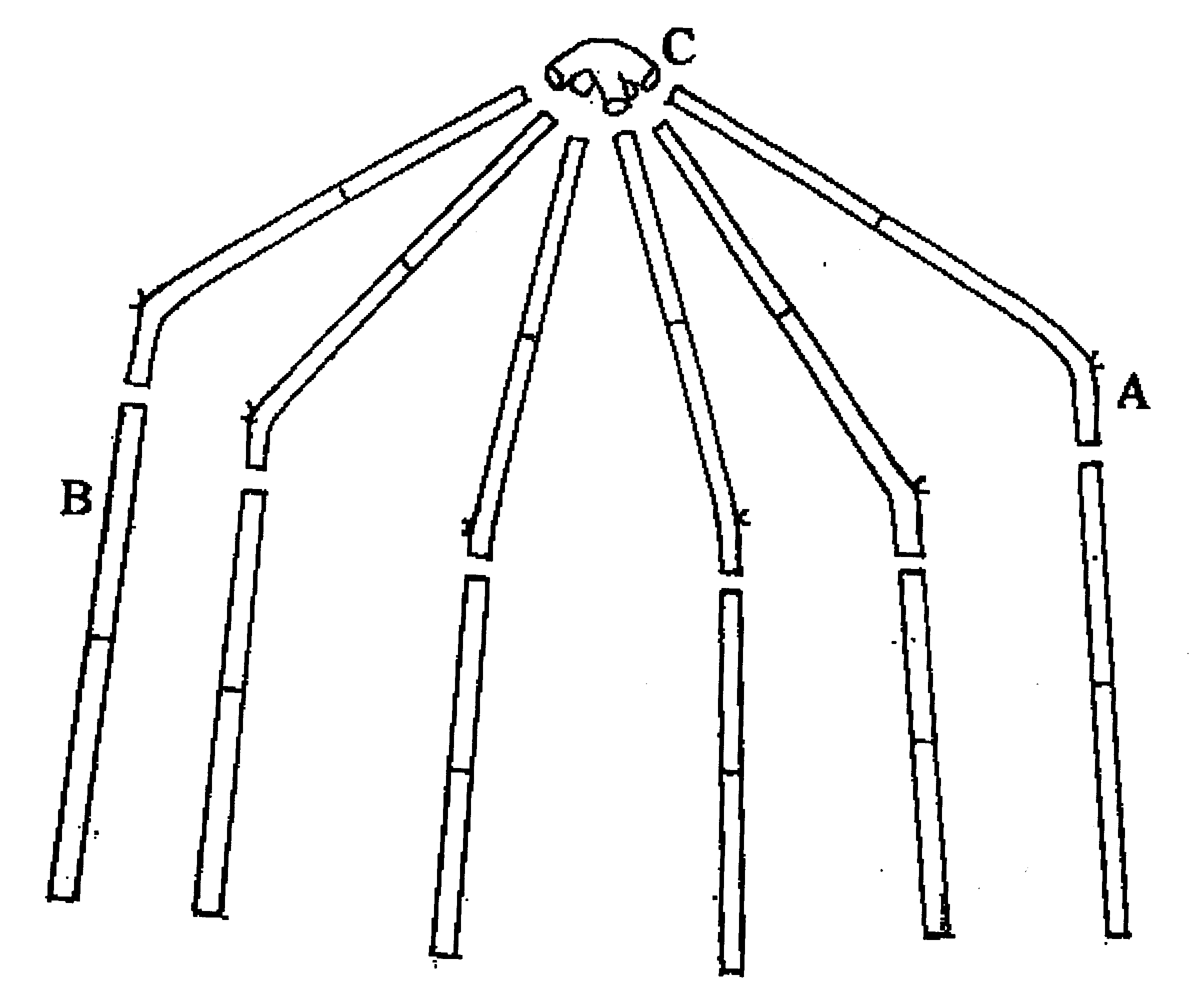Dome screen house