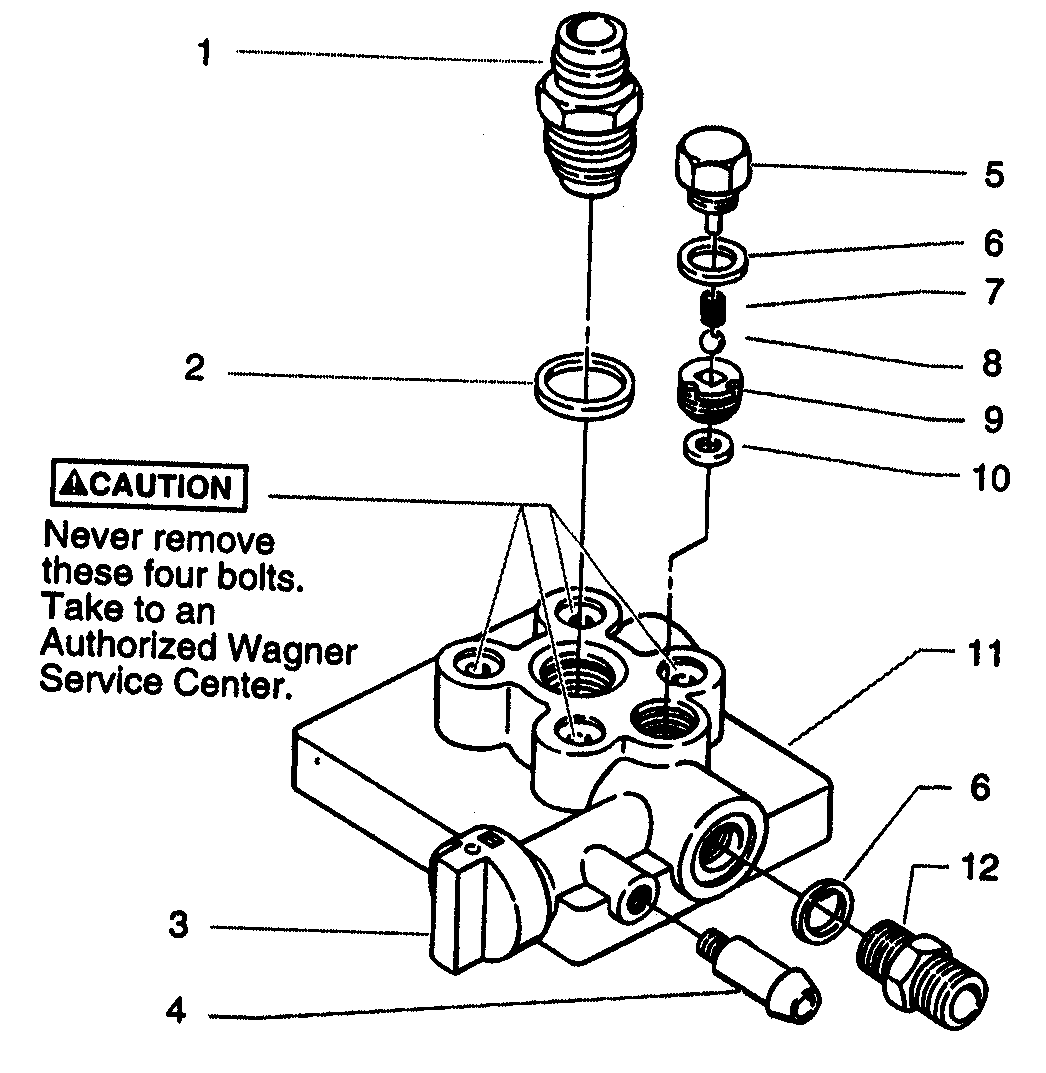 Paint pump assy