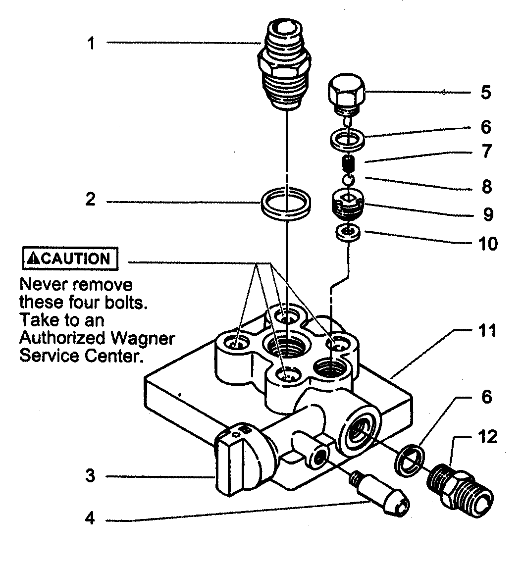 Paint pump assy
