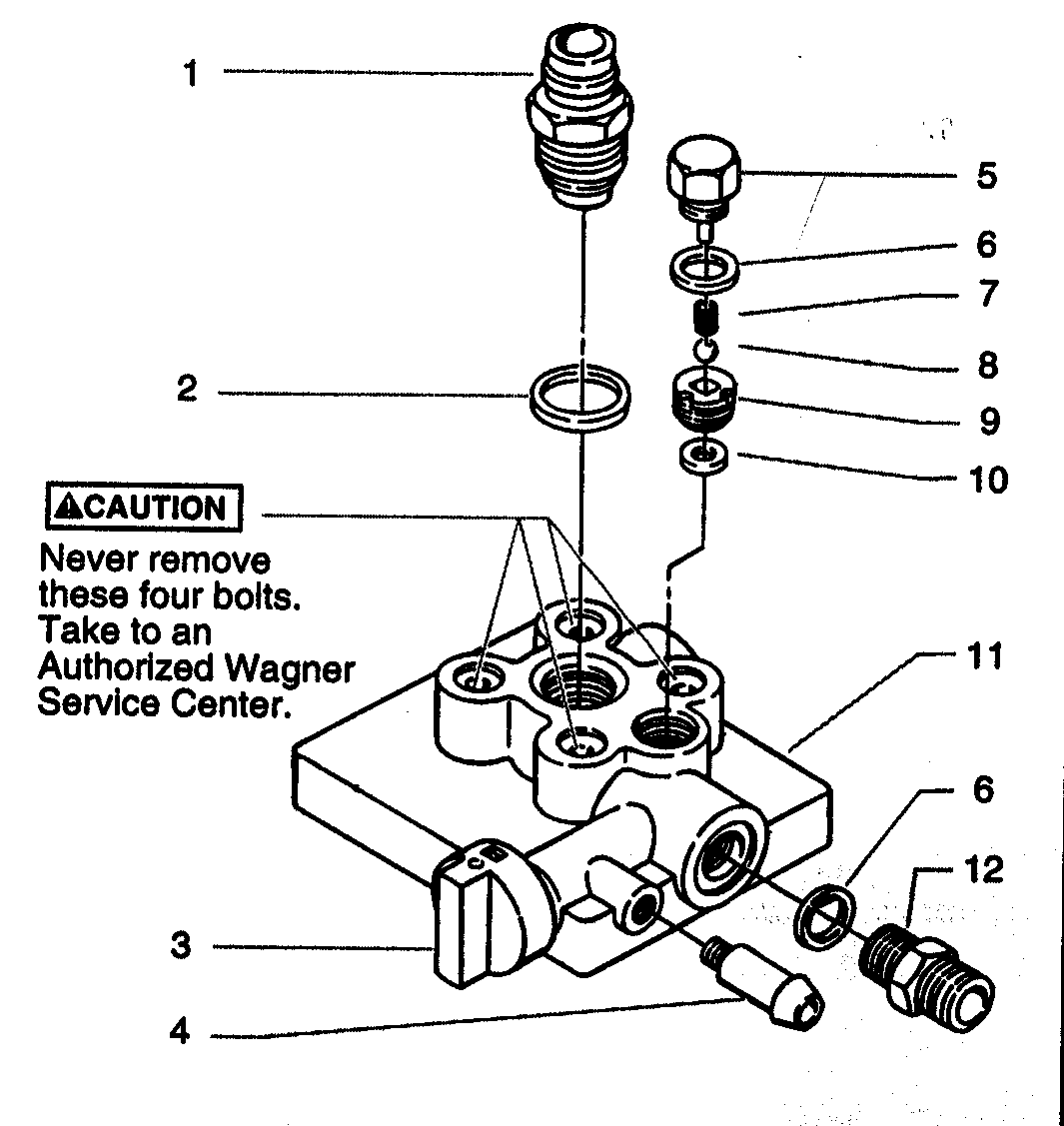 Paint pump assy