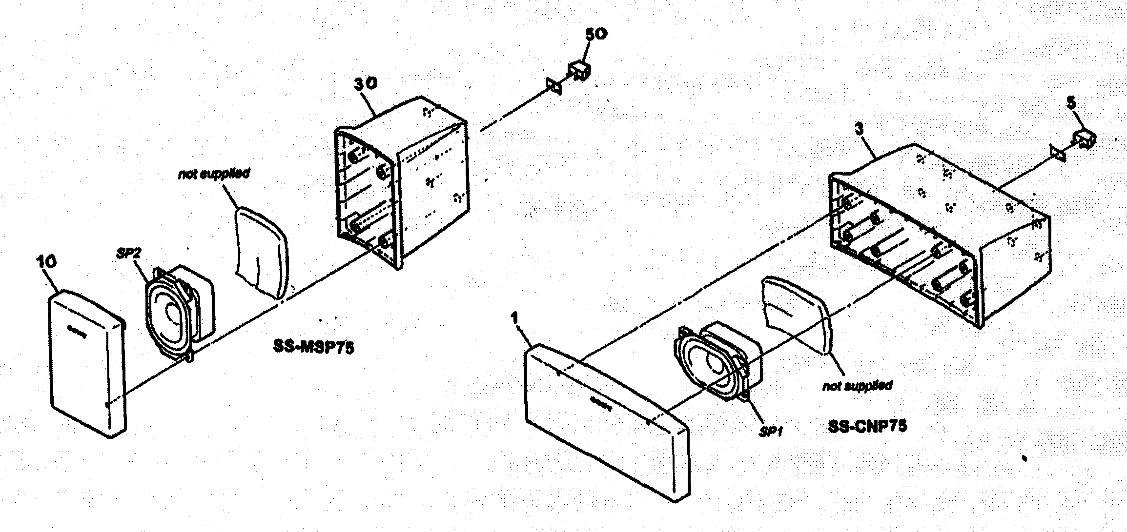 Speaker 1
