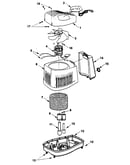 Humidifier