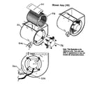 Carrier 58CTA07010016 blower assy diagram