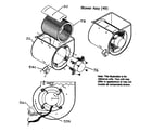 Carrier 58DLA11010012 blower assy diagram