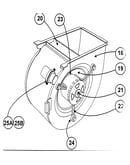 Blower assy