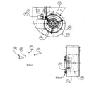 Carrier FF1DNE024005AAAA blower assy diagram