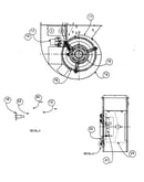 Blower assy