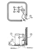 Condenser coil/compressor