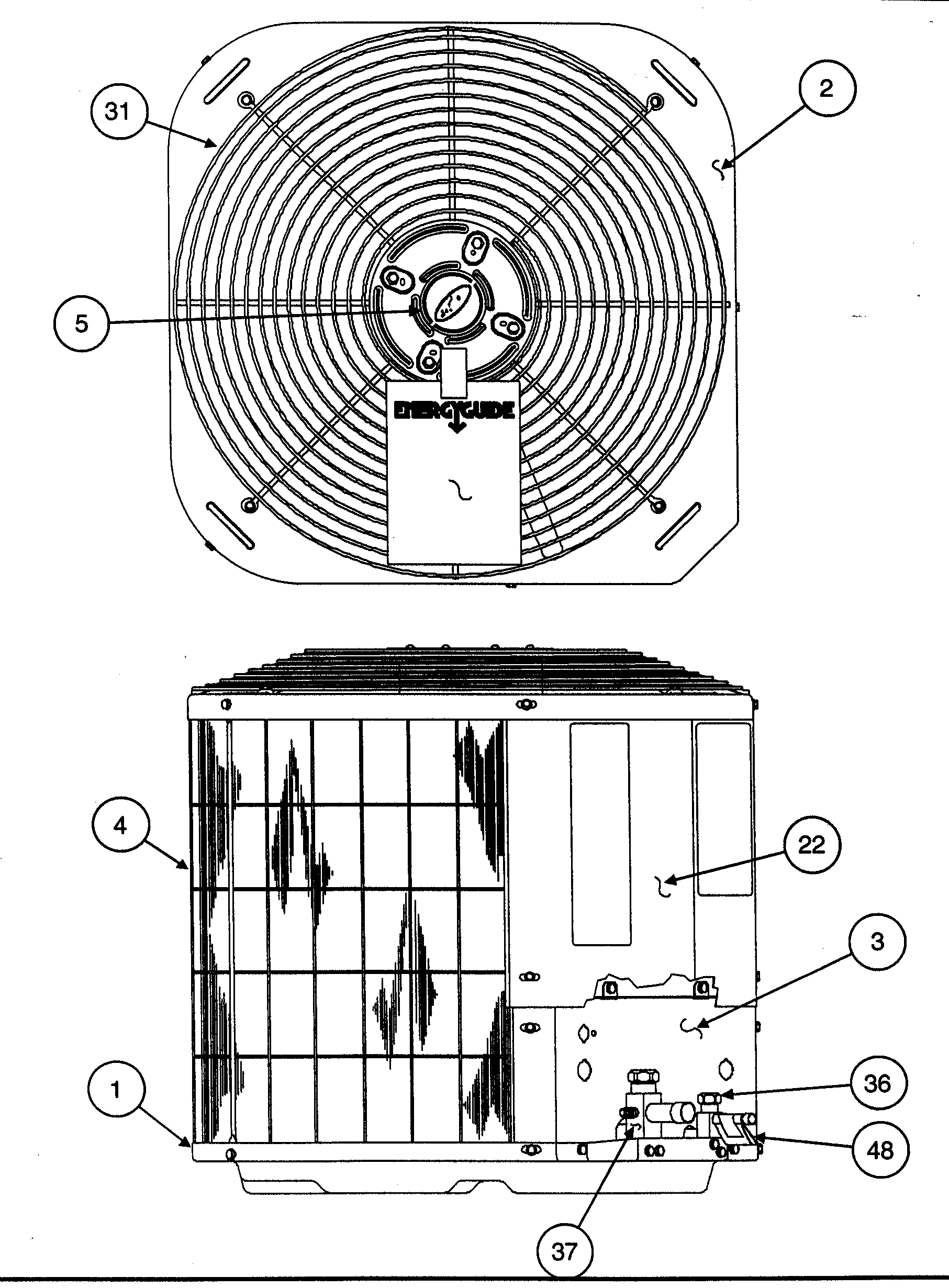 TOP VIEW