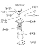 Blower assy