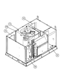 Compressor assy