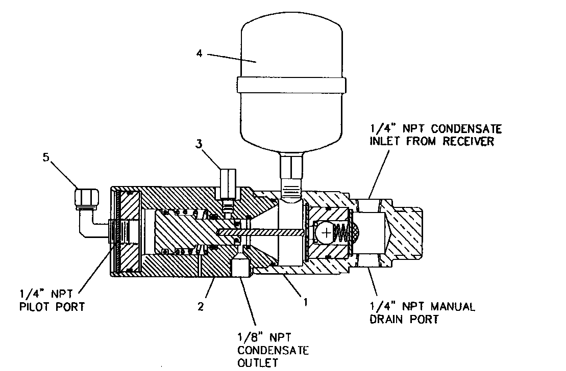 Automatic drain valve