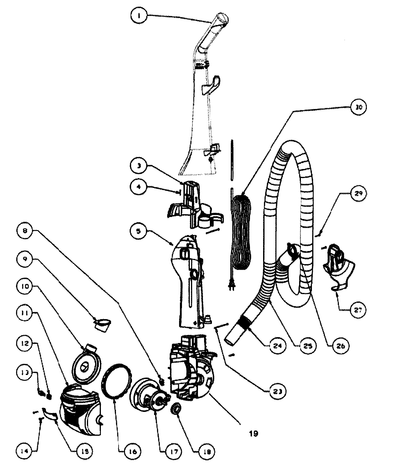 MAIN BODY