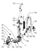 Main body