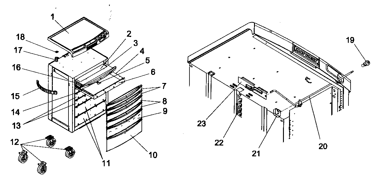 Chest