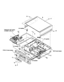 Case section